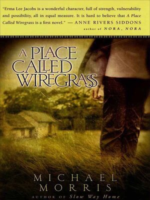 cover image of A Place Called Wiregrass